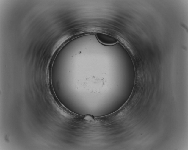 X0000097491082200803071734