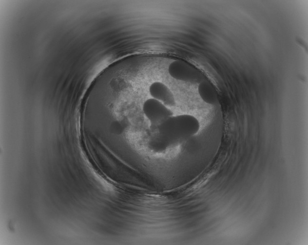 X0000097491083200803071734