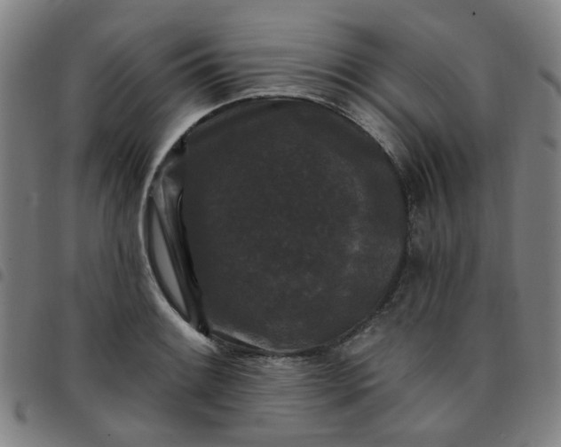 X0000097491084200803071734