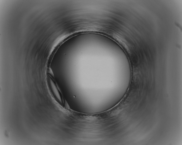 X0000097491085200803071734