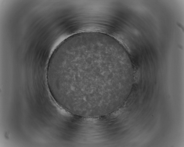 X0000097491086200803071734