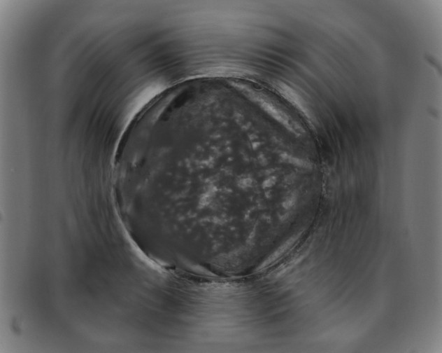 X0000097491087200803071734