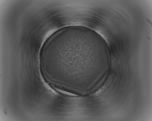 X0000097491088200803071734