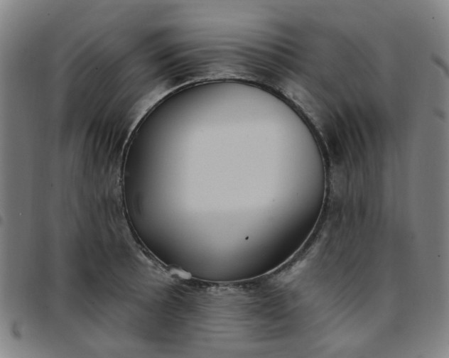 X0000097491089200803071734