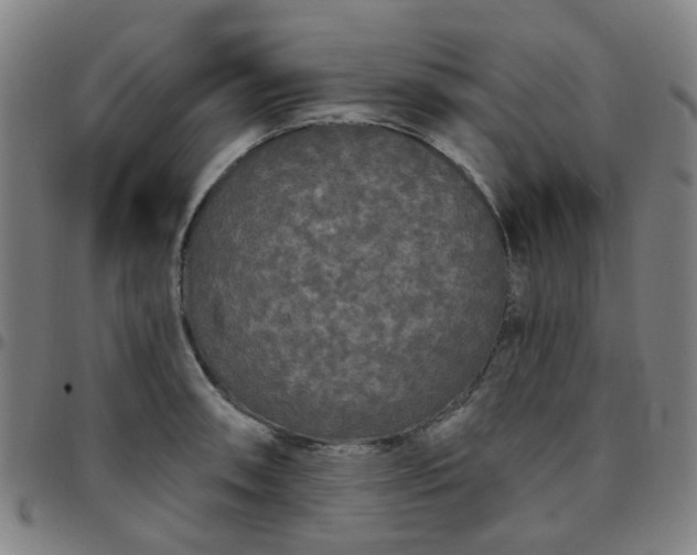 X0000097491090200803071734