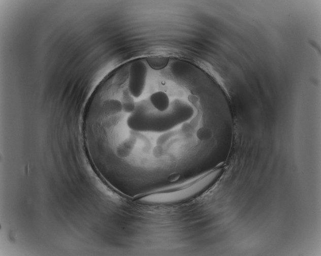 X0000097491091200803071734