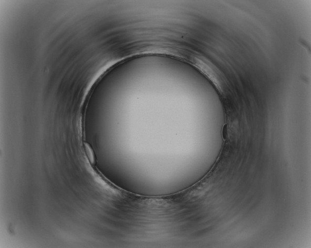 X0000097491092200803071733