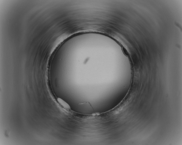 X0000097491093200803071733