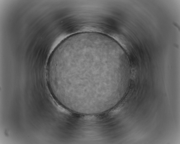 X0000097491094200803071733