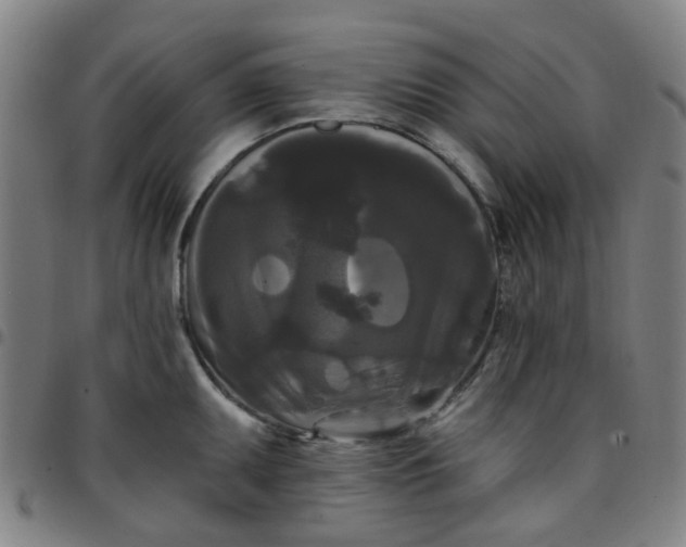 X0000097491095200803071733