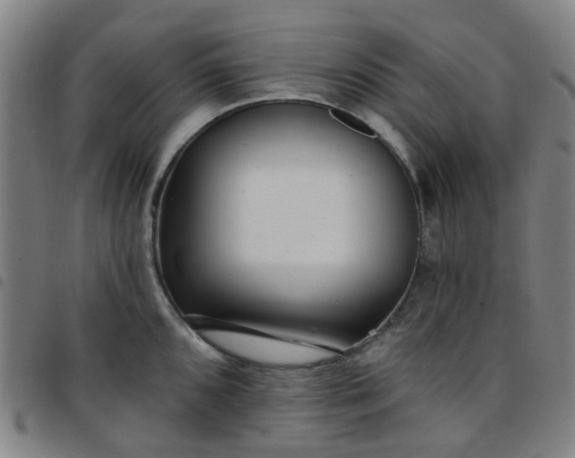 X0000097491096200803071733