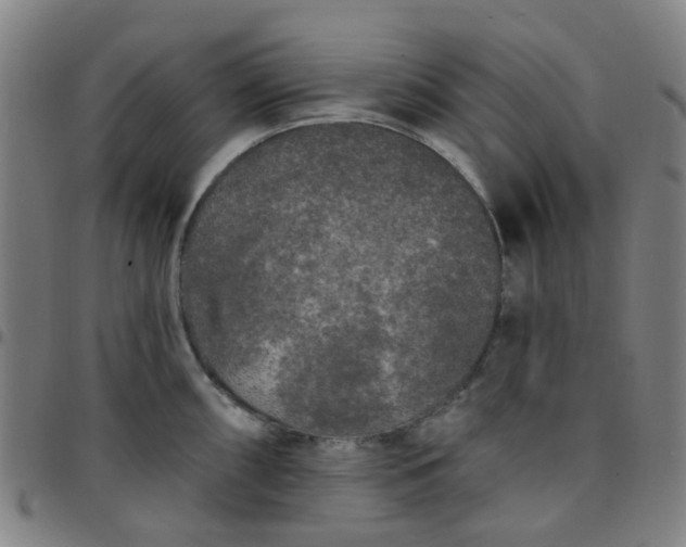 X0000097491098200803071733