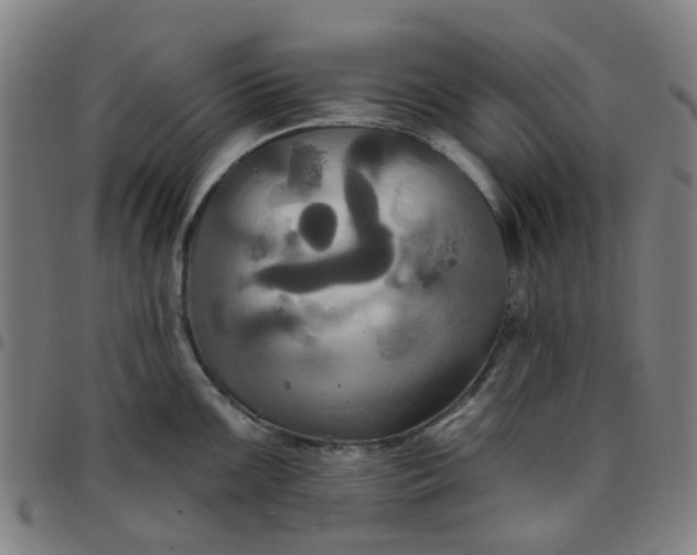 X0000097491099200803071733