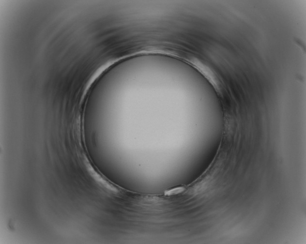 X0000097491100200803071733