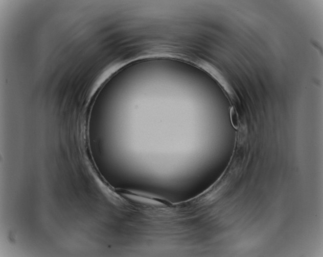 X0000097491101200803071733