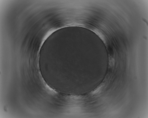 X0000097491102200803071733