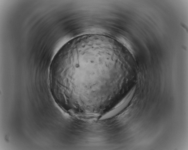 X0000097491103200803071733