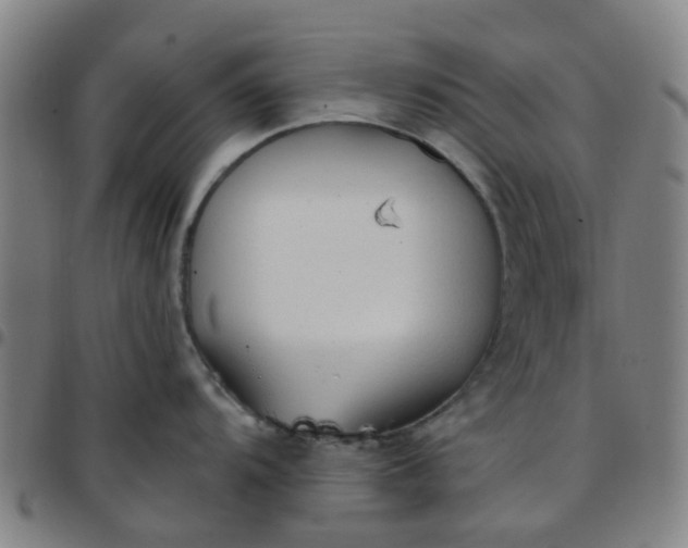 X0000097491104200803071733