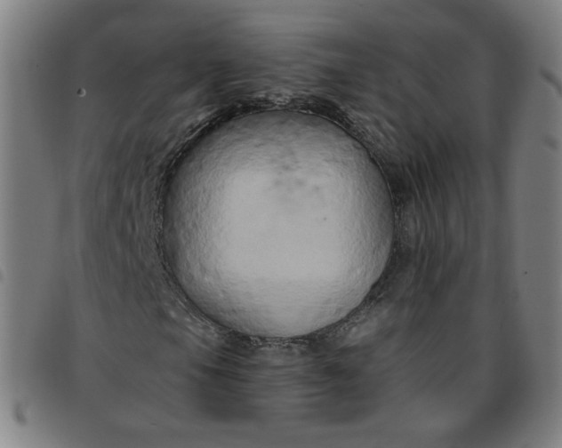 X0000097491105200803071733