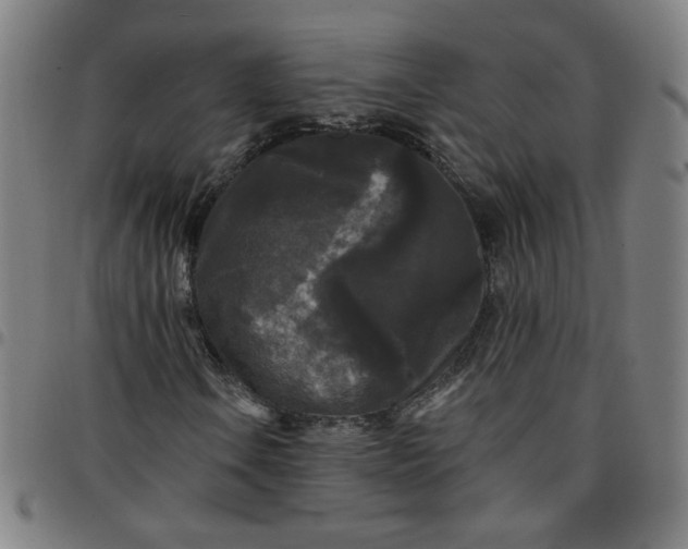 X0000097491106200803071733