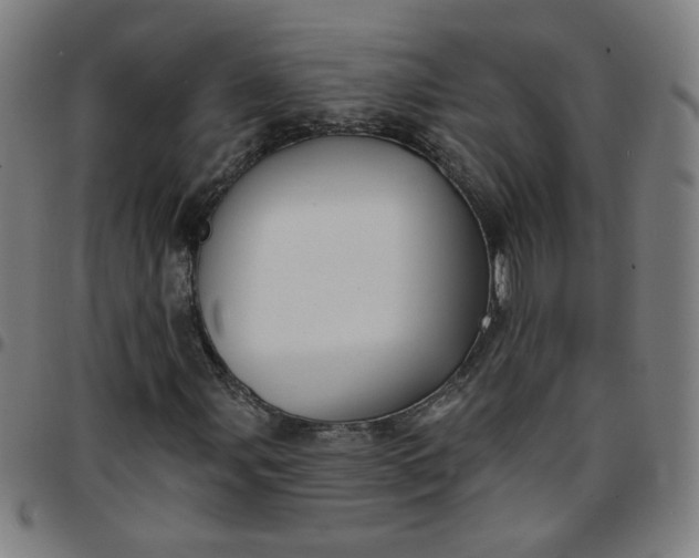 X0000097491107200803071733