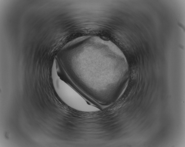 X0000097491108200803071733