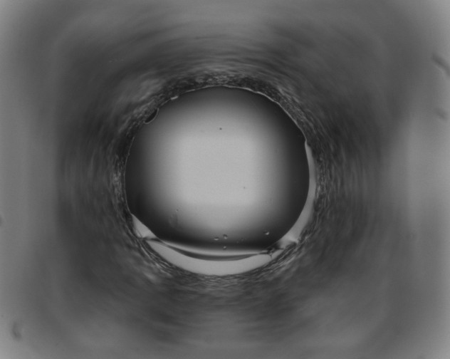 X0000097491109200803071733