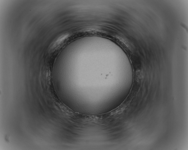 X0000097491111200803071733