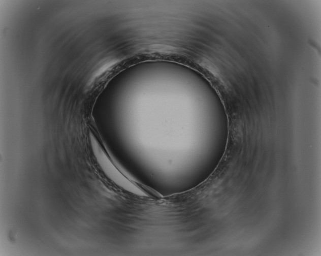 X0000097491112200803071733