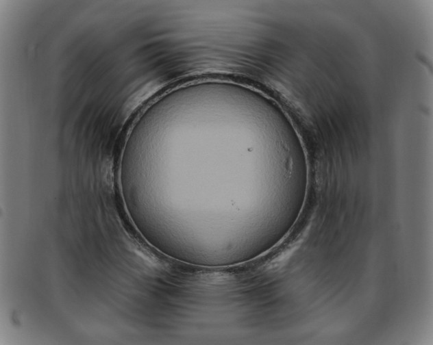 X0000097491113200803071733