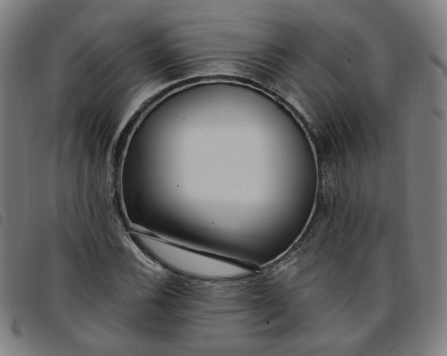 X0000097491116200803071733