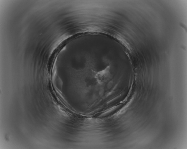 X0000097491117200803071733