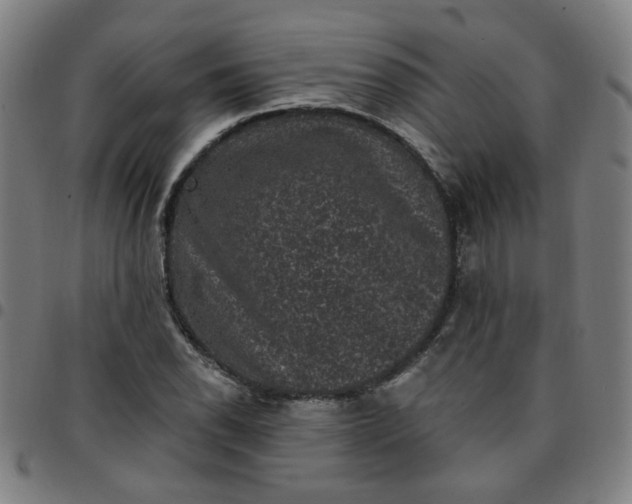 X0000097491118200803071733