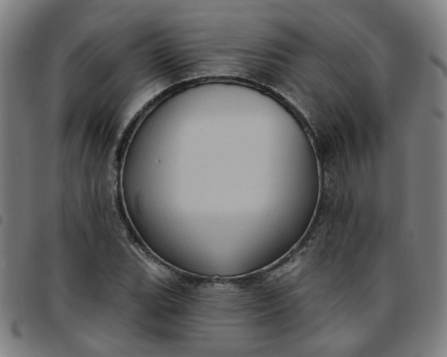 X0000097491119200803071733