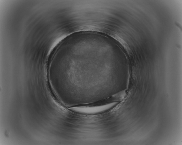 X0000097491120200803071733