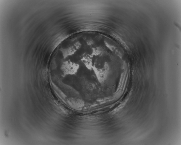 X0000097491121200803071733