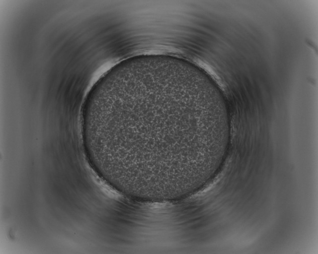 X0000097491122200803071733