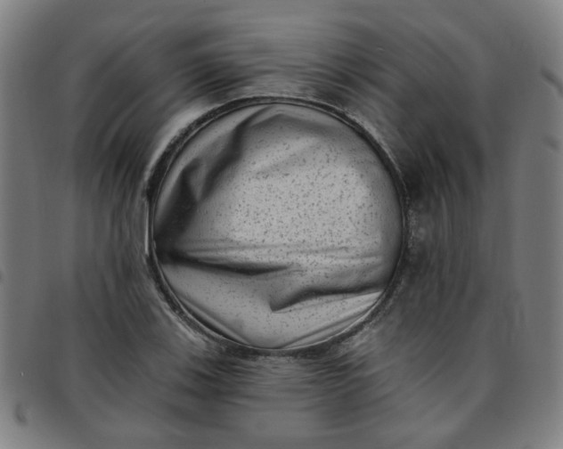 X0000097491123200803071733