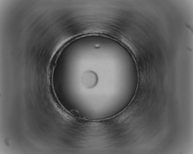 X0000097491124200803071733