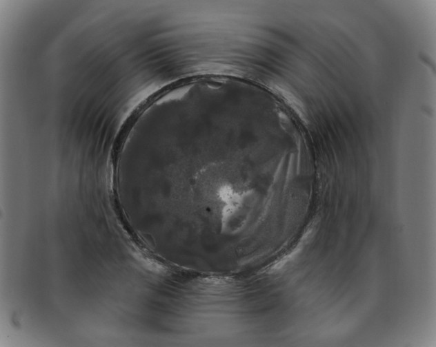 X0000097491125200803071733