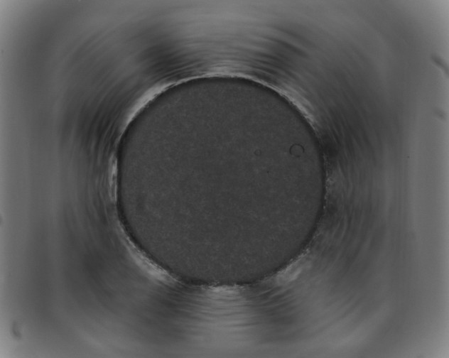 X0000097491126200803071733