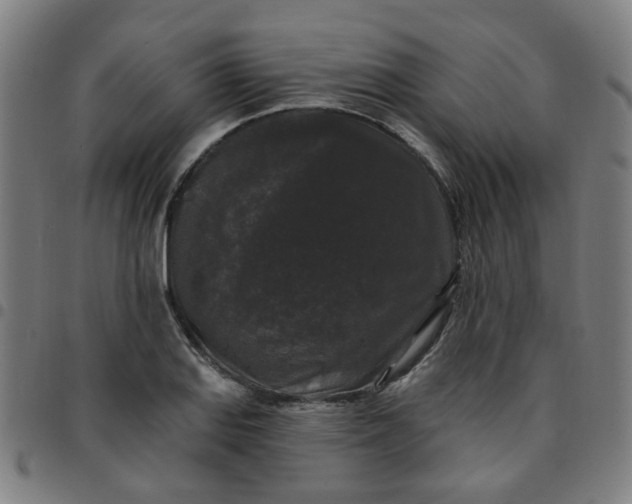 X0000097491127200803071733