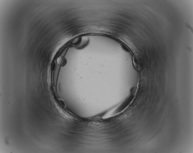 X0000097491128200803071733