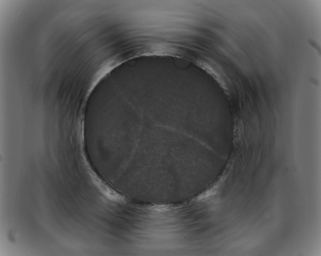 X0000097491130200803071733