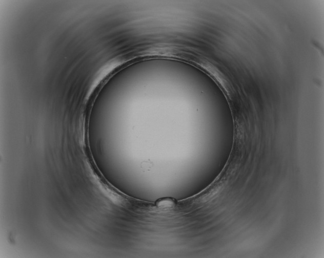 X0000097491131200803071733