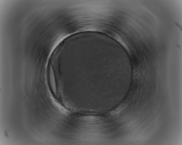 X0000097491132200803071733