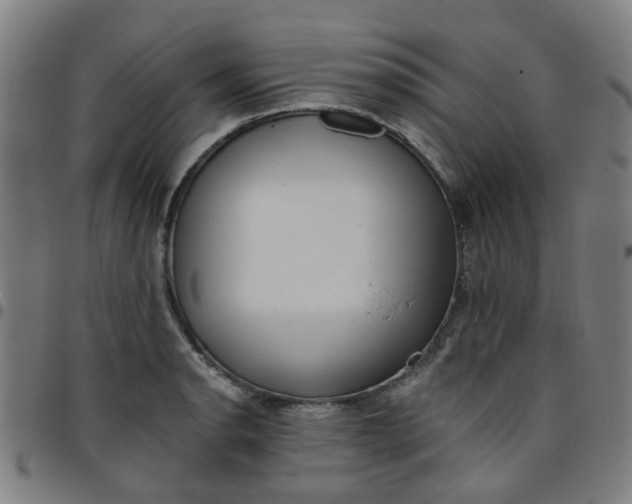 X0000097491134200803071733