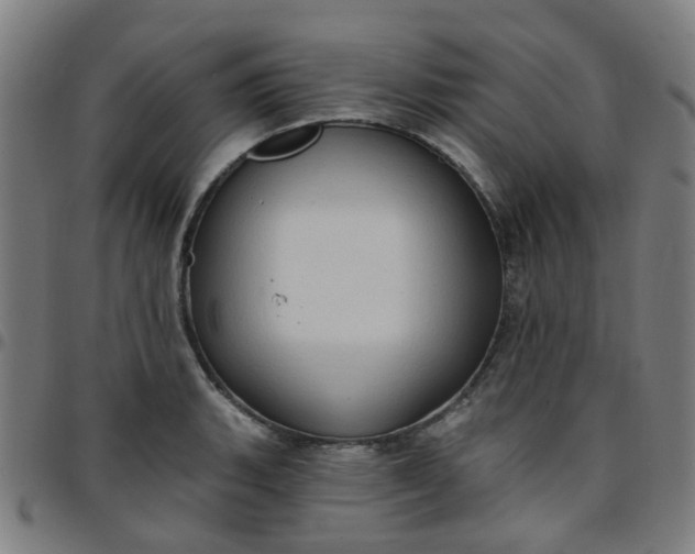 X0000097491135200803071733