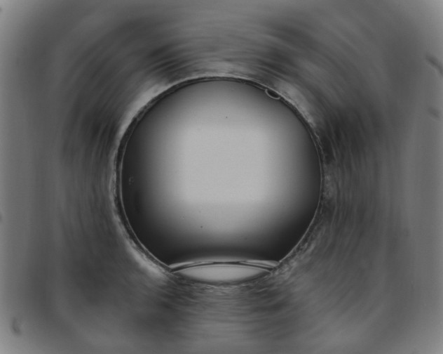 X0000097491136200803071733