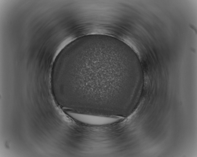 X0000097491138200803071733